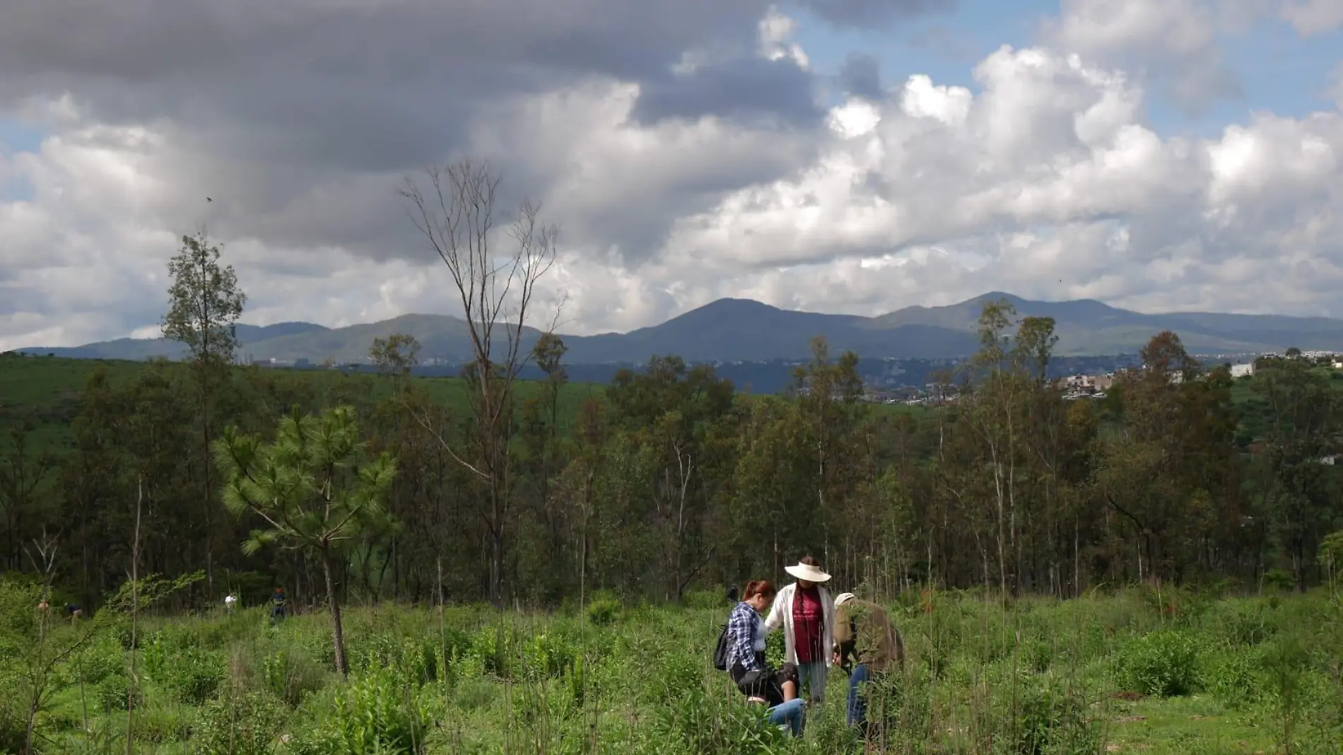 Personas en área verde